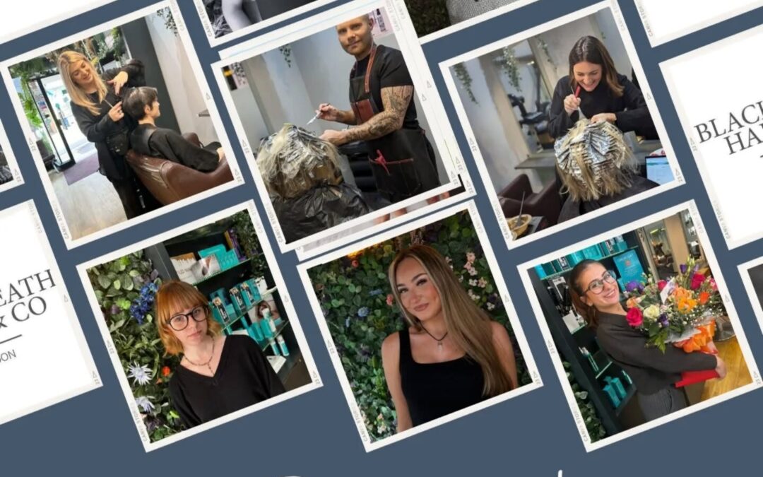 Meet the Team