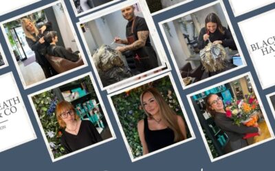 Meet the Team