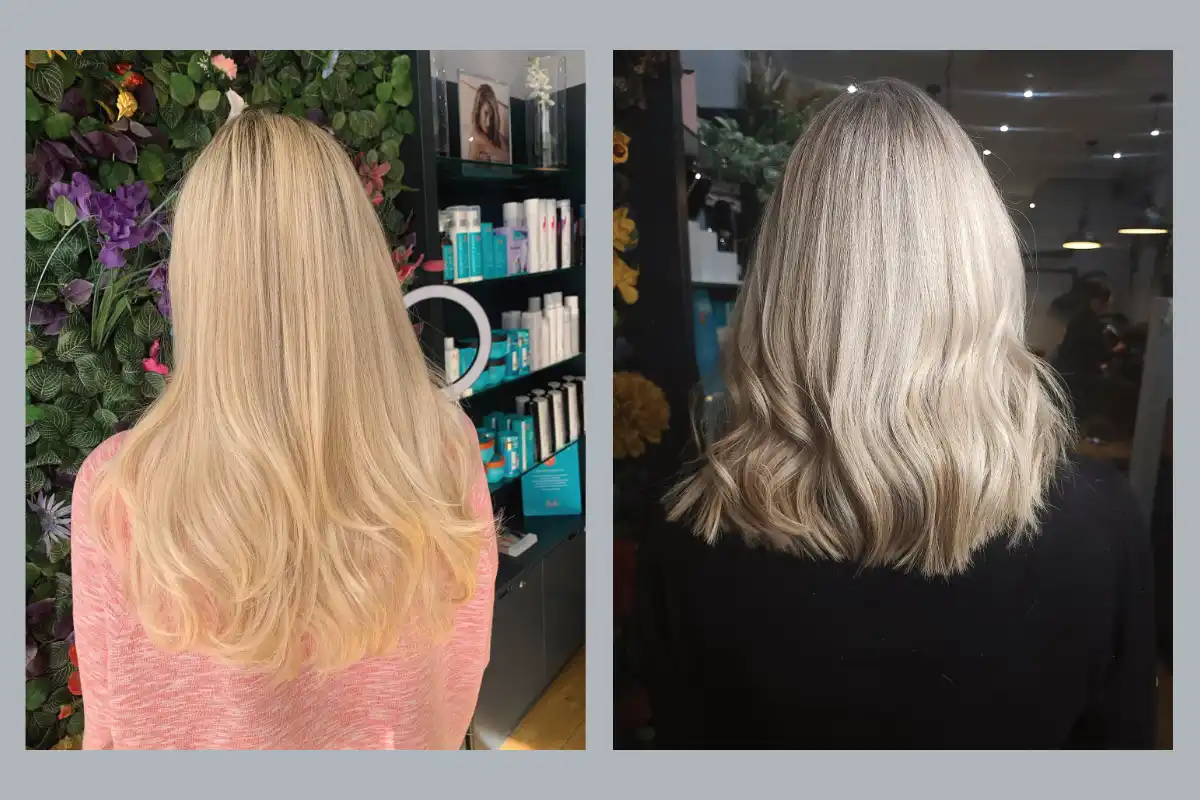 Highlights Blackheath Hair & Co